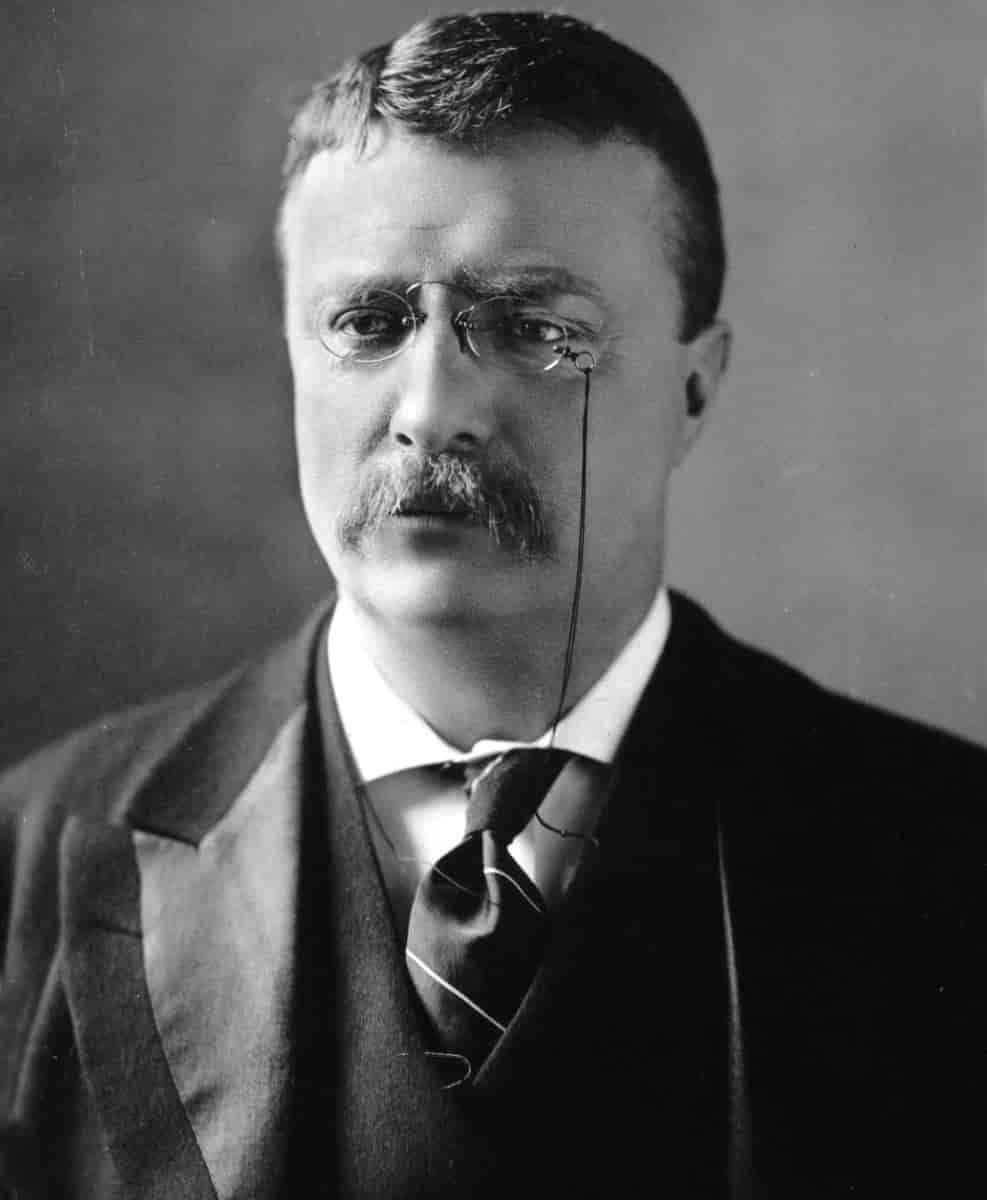  Theodore Roosevelt